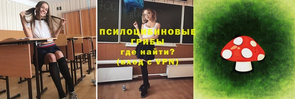 молекула духа Аркадак