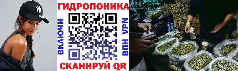 Бошки Шишки ГИДРОПОН где купить наркоту это клад Нея